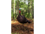 Primos Hunting Photoform Jake Decoys 69069