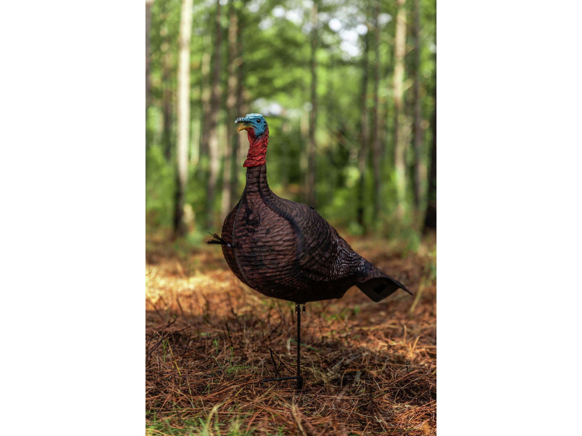 Primos Hunting Photoform Jake Decoys 69069