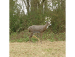 Primos Hunting Deer Decoys Scar 62601