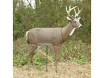 Primos Hunting Deer Decoys Scar 62601