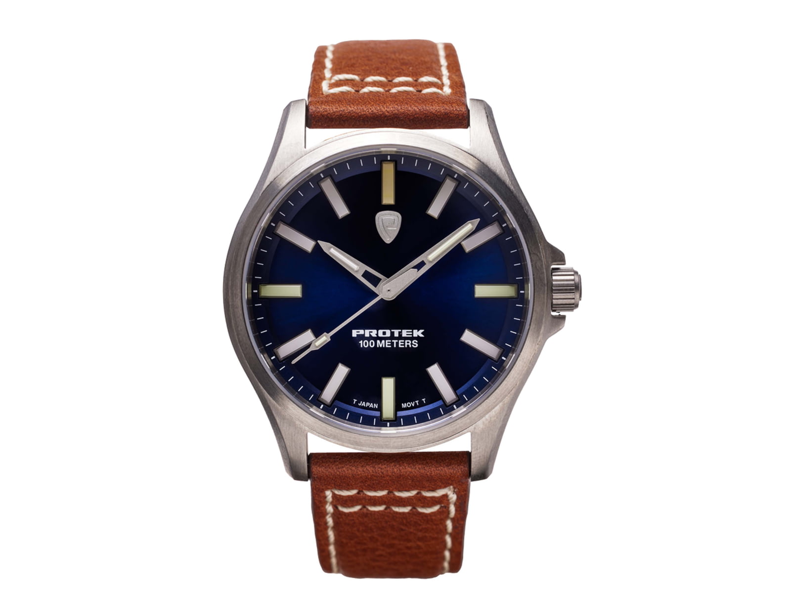 ProTek Titanium Field Watch Titanium