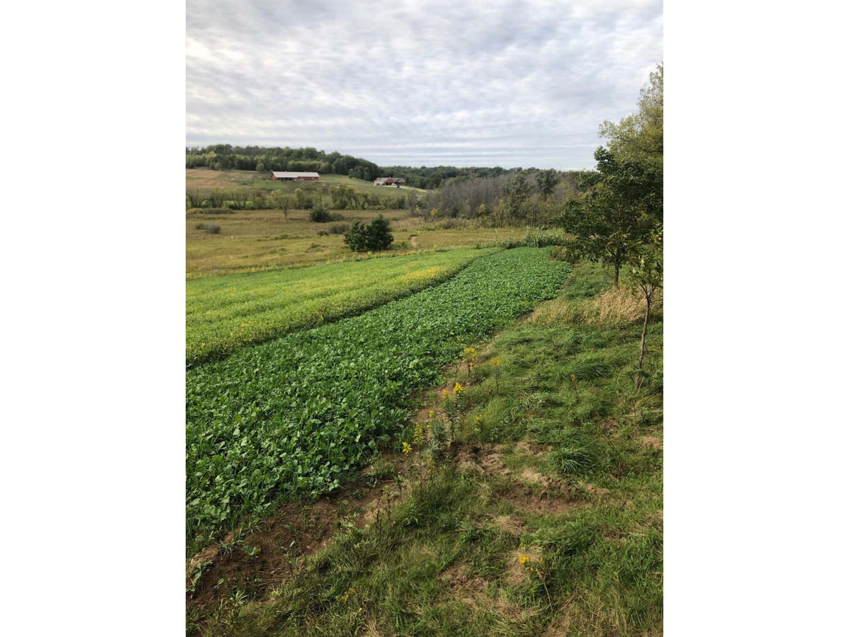 RaKK Fuel Groundwork 1/2 Acre Transition Blend Large