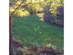 RaKK Fuel Groundwork 1/2 Acre Transition Blend Large