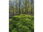 RaKK Fuel Groundwork 1/2 Acre Transition Blend Large