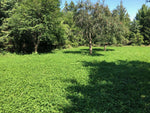 RaKK Fuel Groundwork 1/2 Acre Transition Blend Large