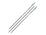Allen Blade100 26-Inch Youth Arrow 3 Pack Black 93226