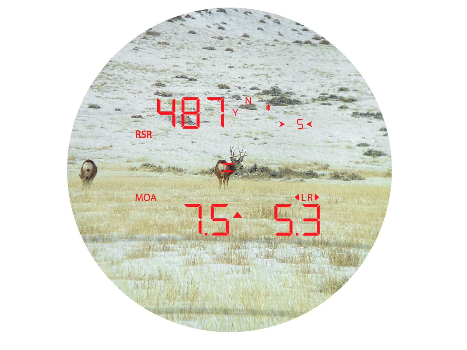 Image alt