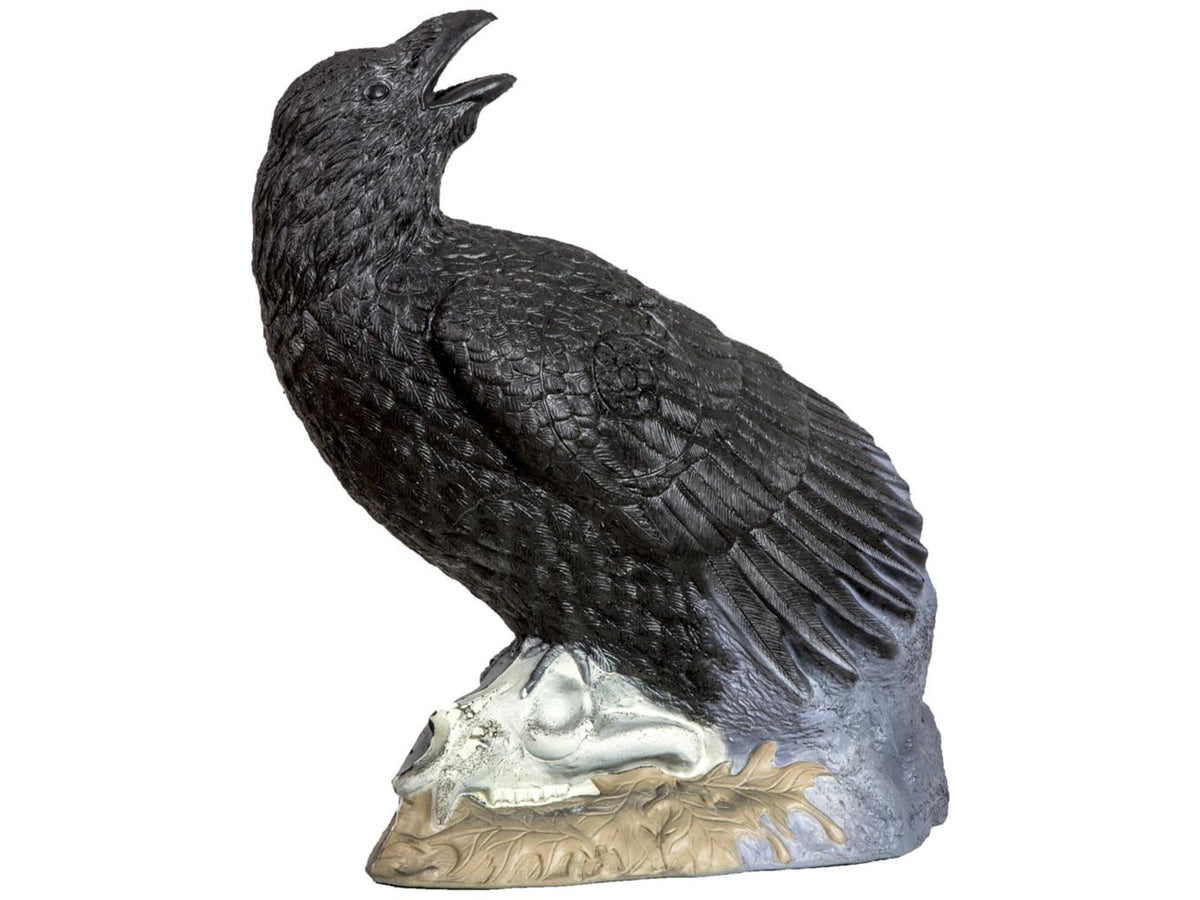 Rinehart Raven Target Black 41111