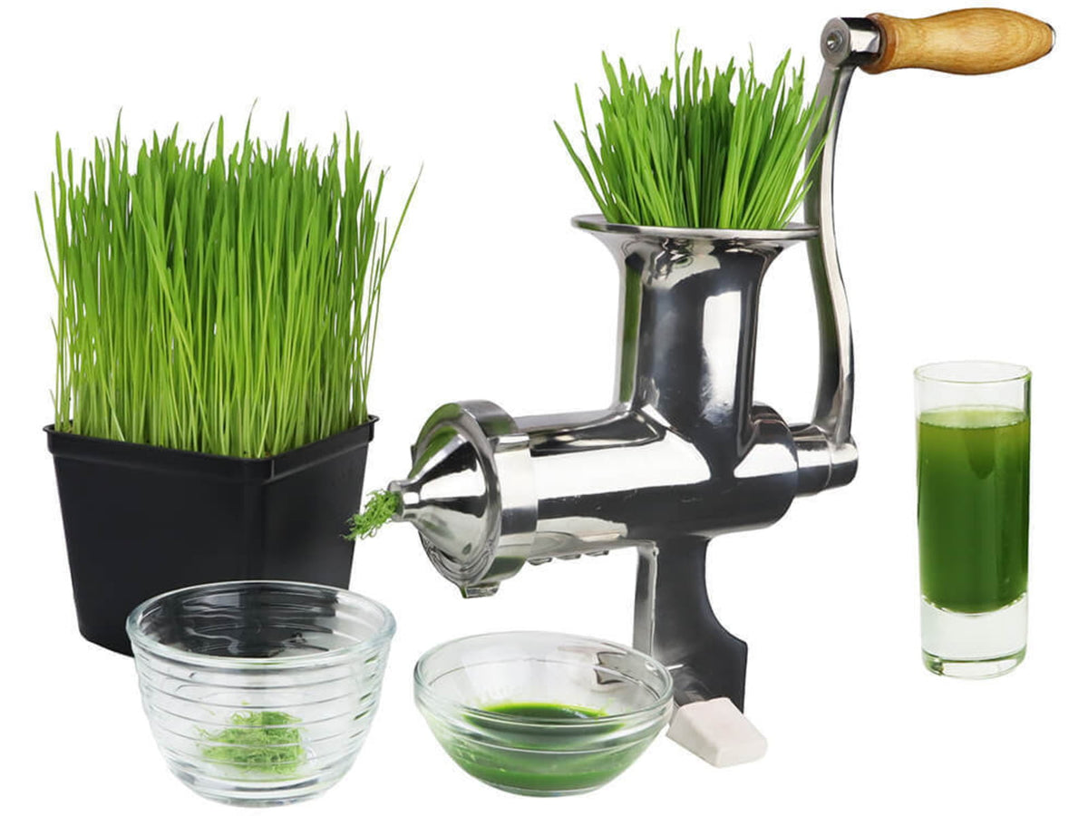 Roots & Harvest Wheatgrass Juicer Stainless Steel Small 1502