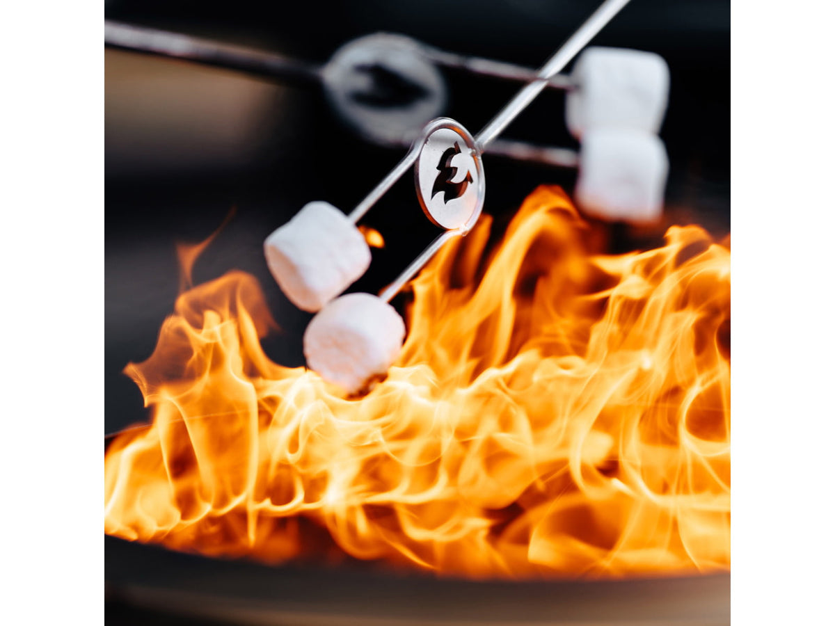 Solo Stove Roasting Sticks Stainless Steel SS-STICKS