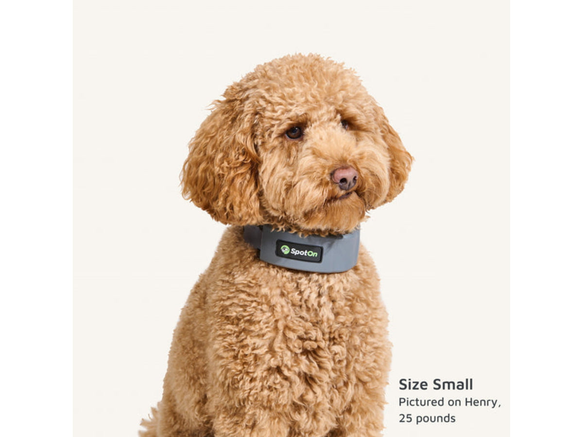 SpotOn Fence GPS Dog Fence Collar