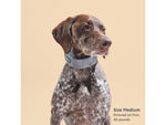 SpotOn Fence GPS Dog Fence Collar