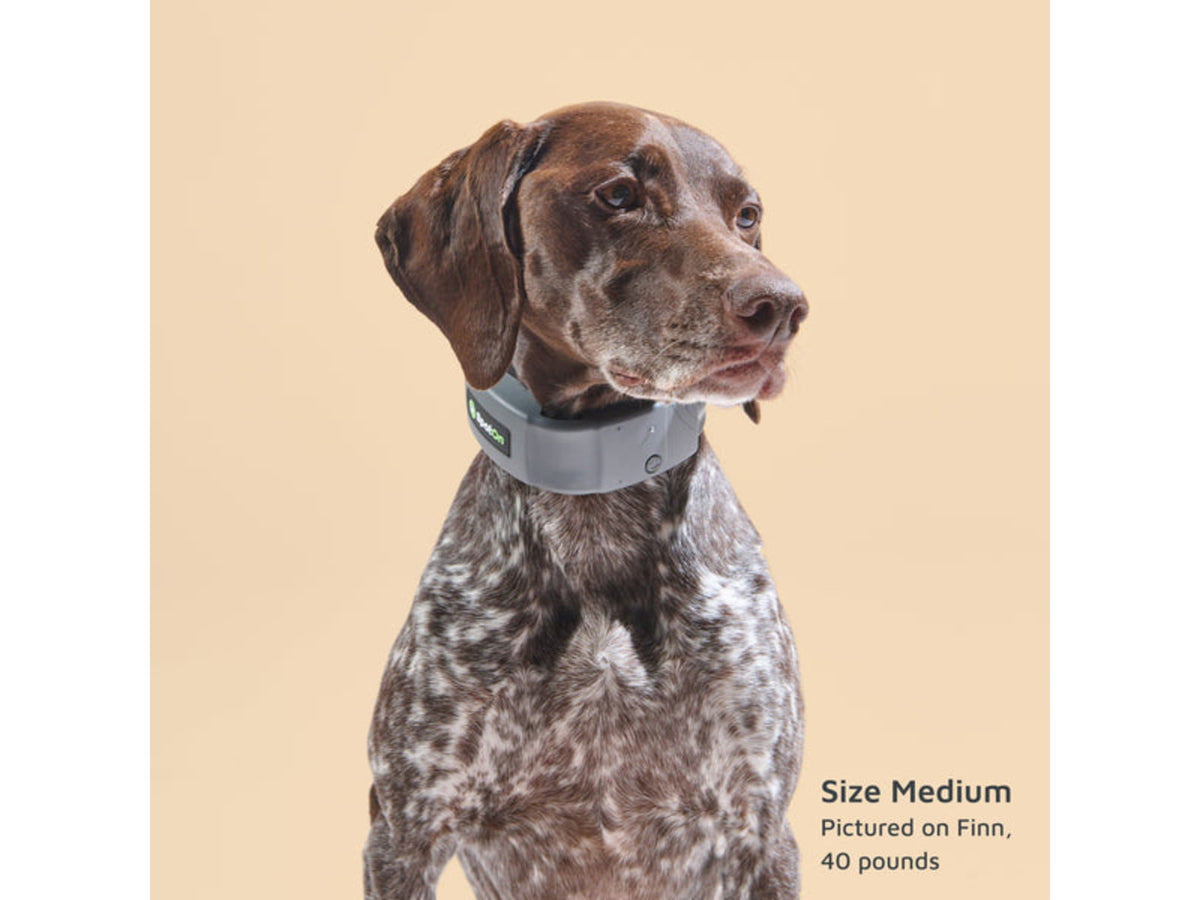 SpotOn Fence GPS Dog Fence Collar