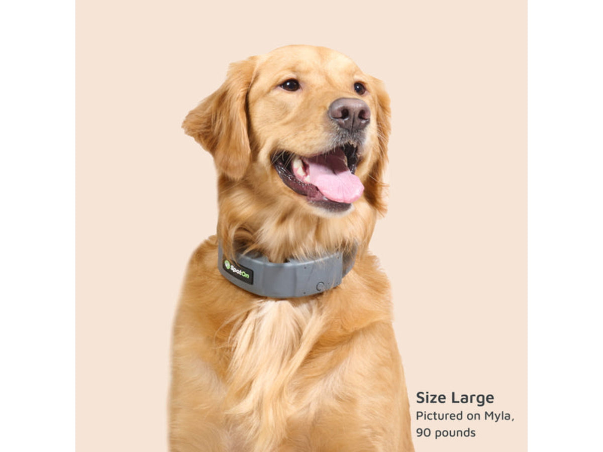 SpotOn Fence GPS Dog Fence Collar