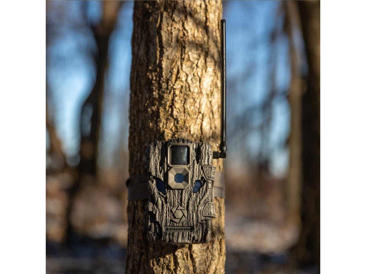 Stealth Cam Fusion Global Cellular Trail Camera STC-FGLB