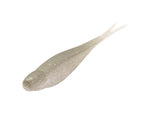 Strike King 3X Z-Too Softbait 4 pack 7in