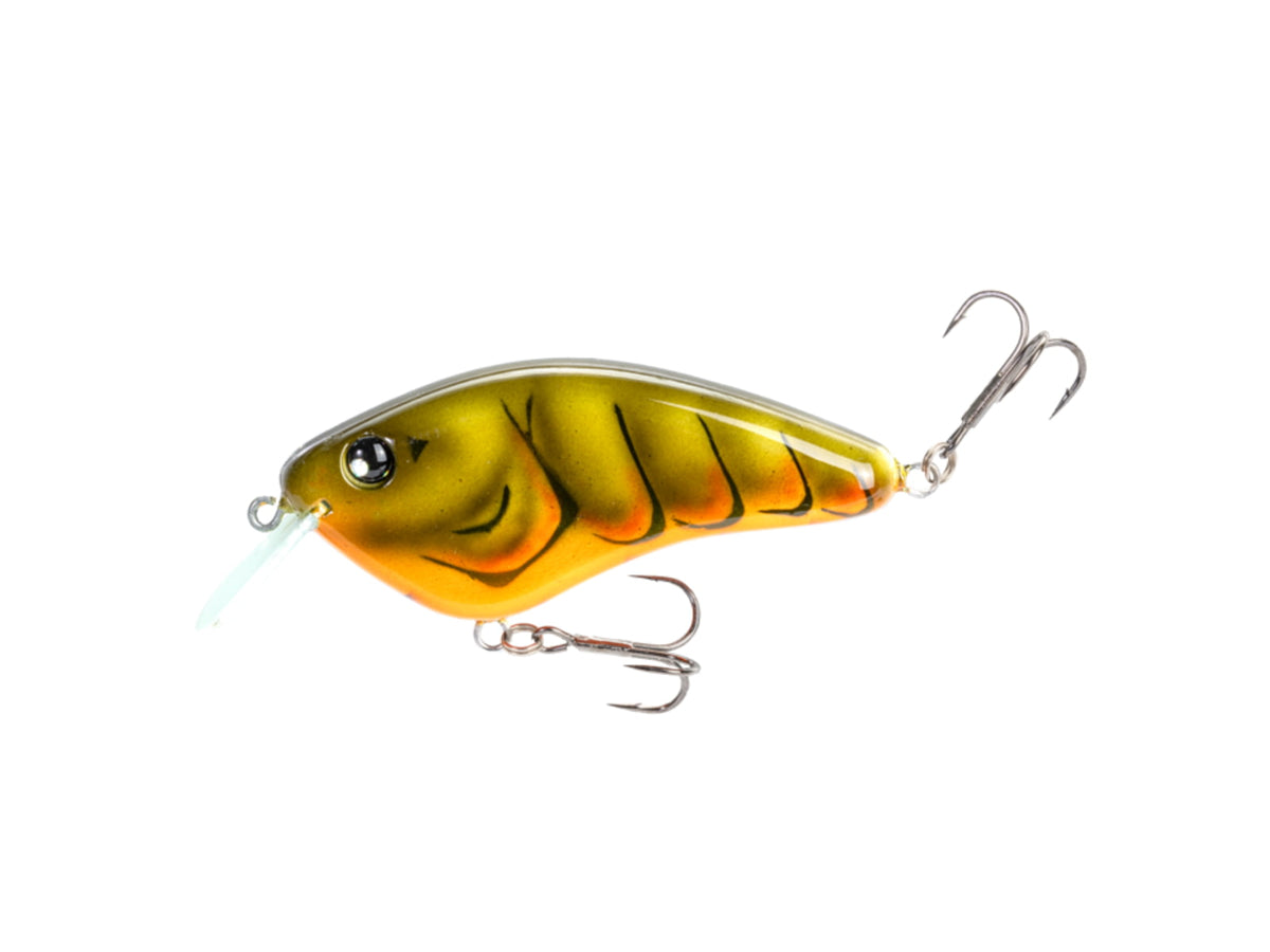 Hard Baits & Plugs
