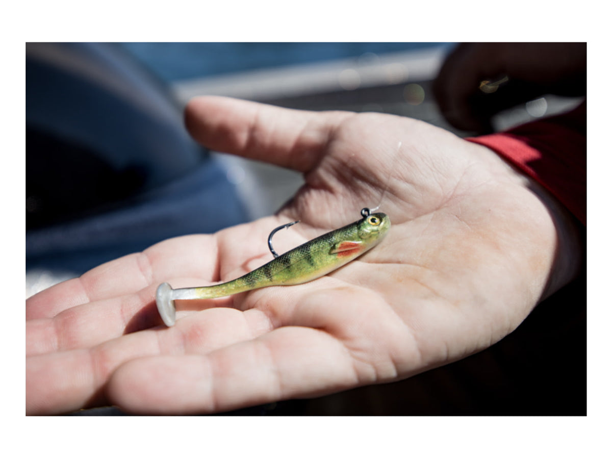 Strike King Homing Minnow Softbait 3 pack
