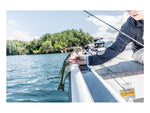 Strike King Homing Minnow Softbait 3 pack