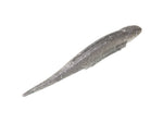 Strike King Spotlight Shim-E Minnow Softbait 6 pack