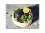 Swiss Advance PHORA Bamboo Lunch Box Medium