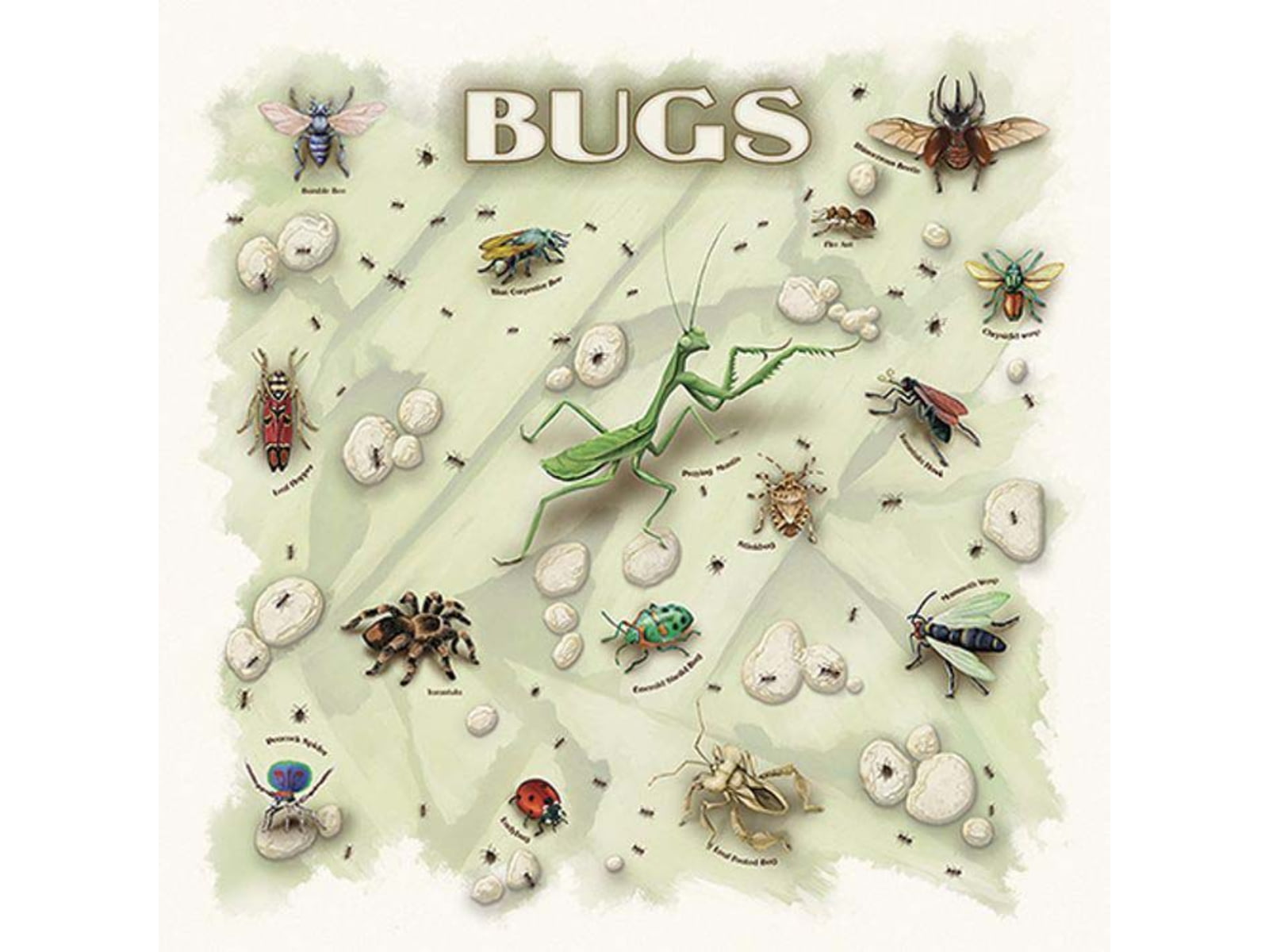 The Printed Image Bugs Bandana Natural 609
