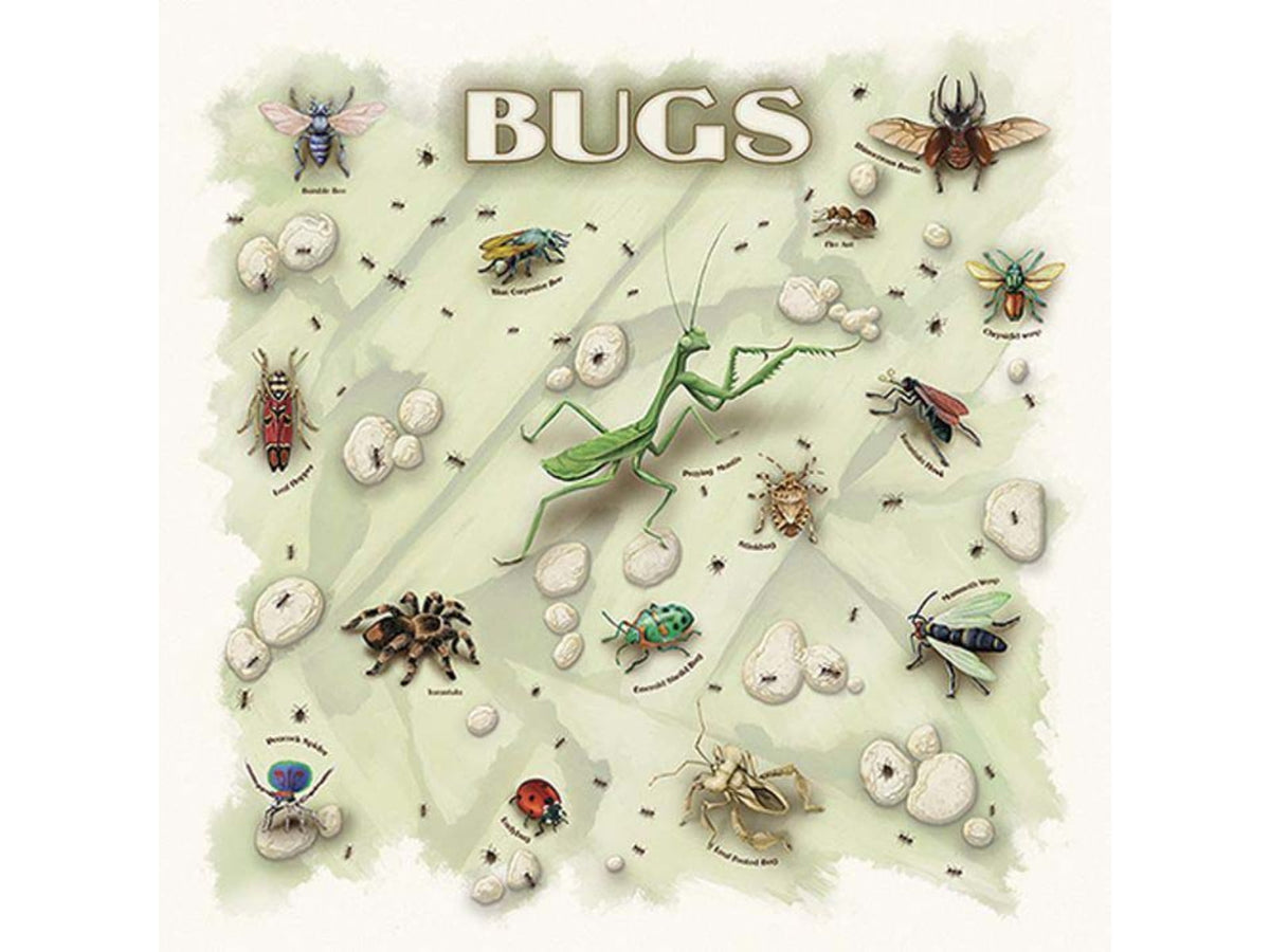 The Printed Image Bugs Bandana Natural 609