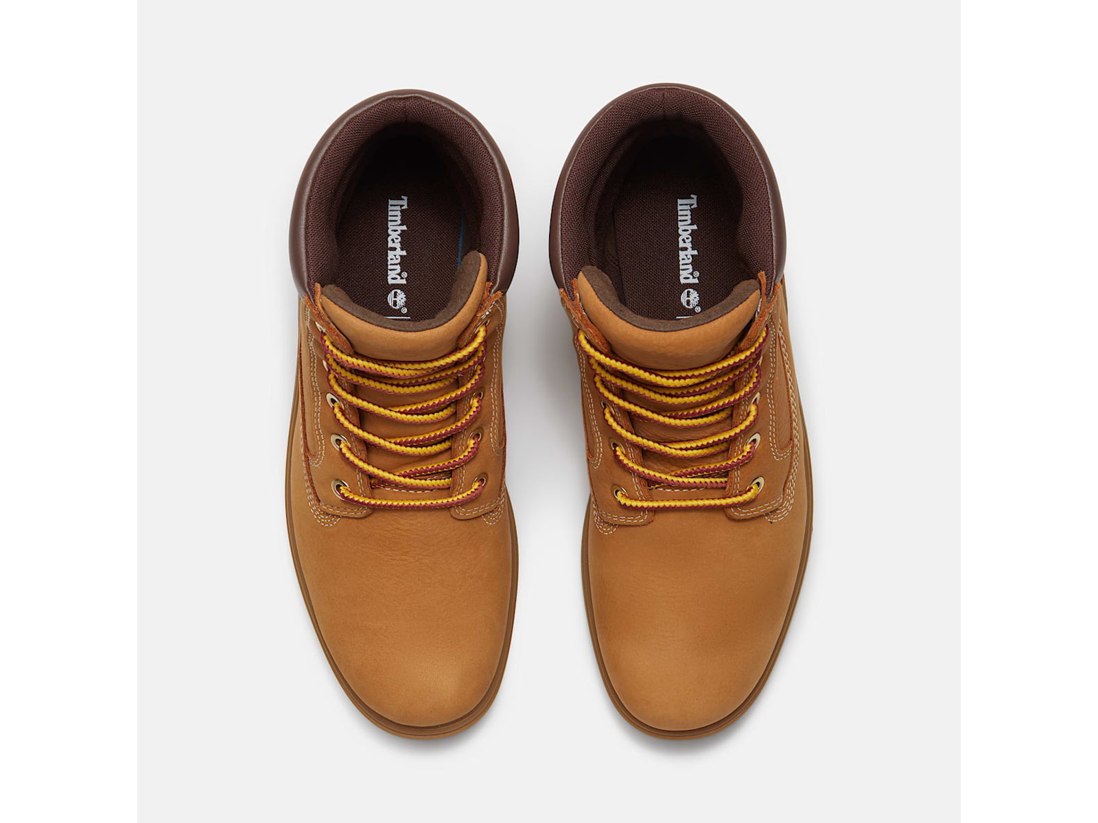 Timberland Auburn Falls 6-Inch Waterproof - Women's
