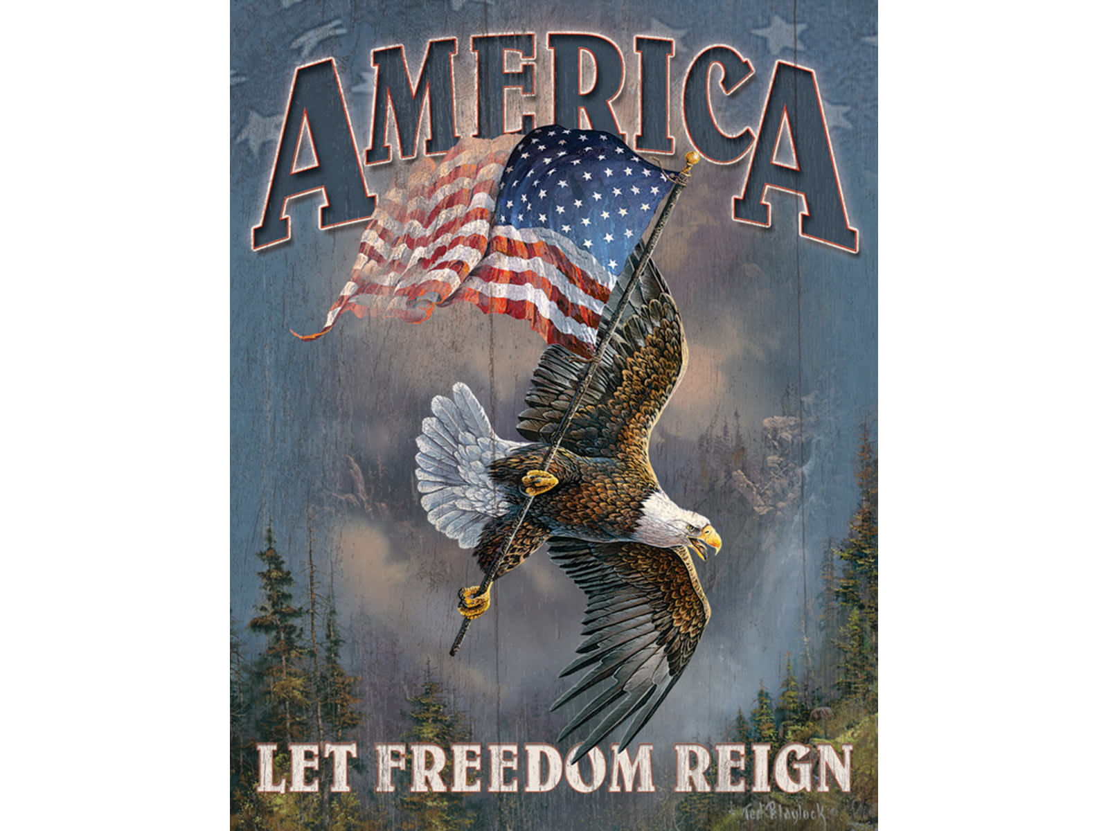 Tin Signs Let Freedom Reign Tin Sign