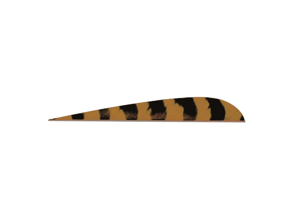 Trueflight Parabolic Barred Feathers Bronze 5 in. LW 100pk 1845