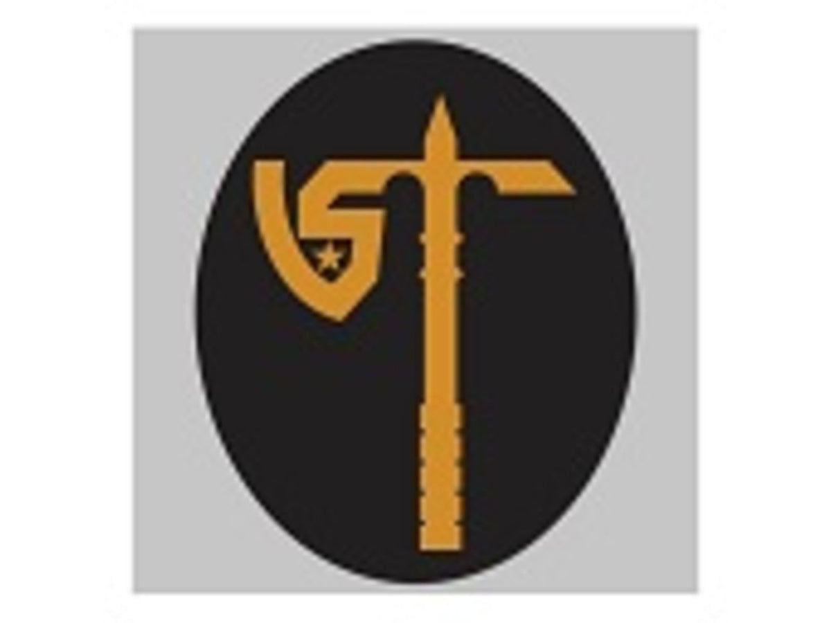 United States Tactical UST Axe Sticker - Gold on Black Gold/Black UST-STK004