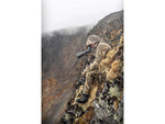 Vortex Summit Carbon II Tripod Kit 6.3 - 53.3 in Arca Black 18.1in 2.5lbs TR-SMC