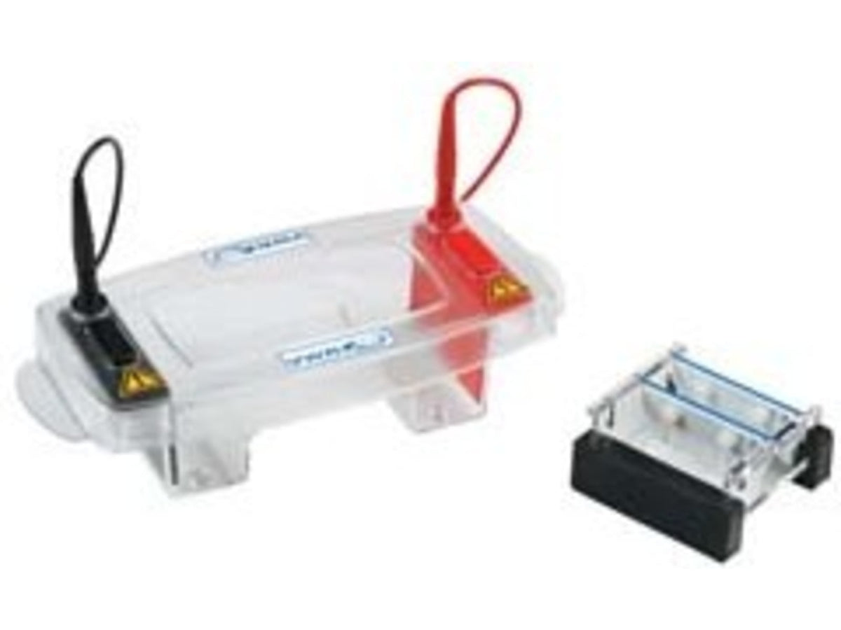VWR Mini Horizontal Electrophoresis Systems E1107-12MC15 Combs 1.5 Mm x 12-Tooth Comb