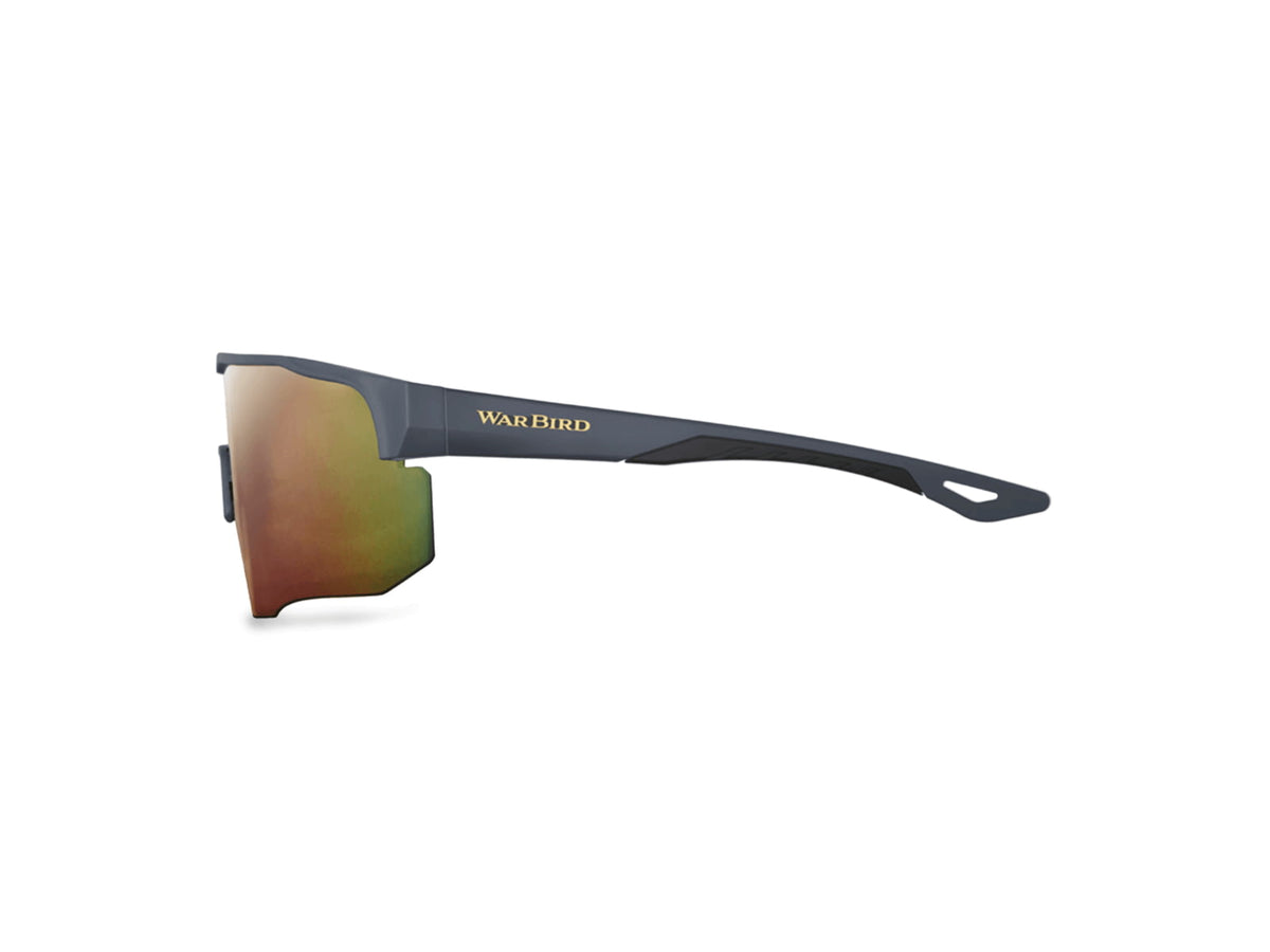 WarBird Deep State Glasses