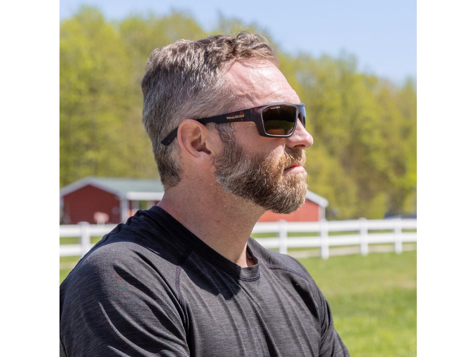 WarBird Enfilade Glasses