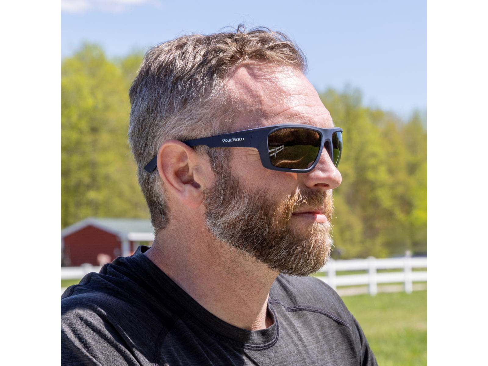 WarBird Enfilade Glasses