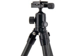 Warrior Tripods The Scout Tripod Aluminum