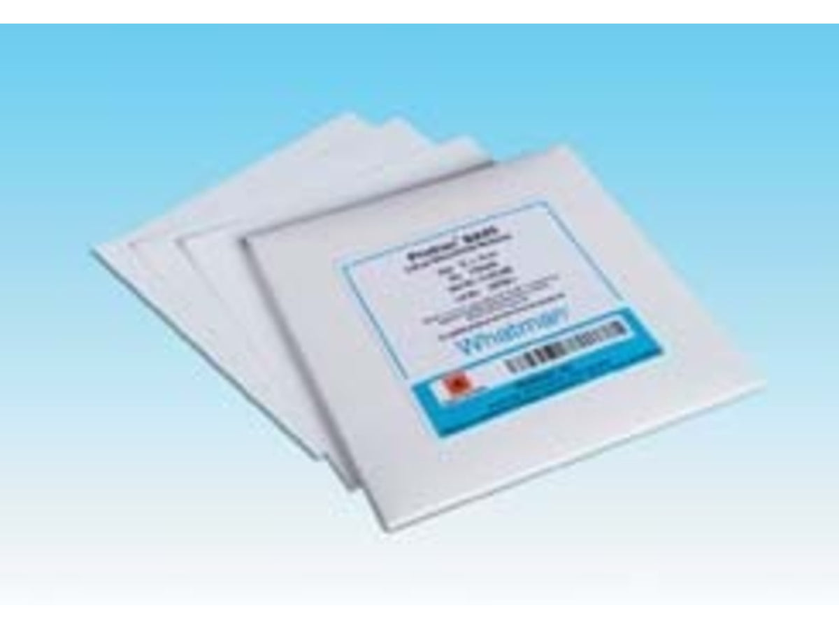 Whatman Protran Nitrocellulose Membrane Filters Whatman 10401116 Discs