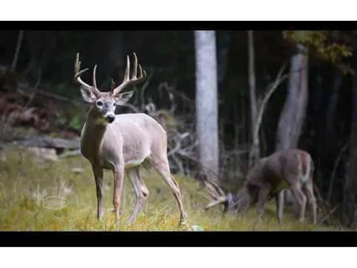 Wildgame Innovations ZeroTrace PureION Field Generator Camo WGI-WGIPG0001