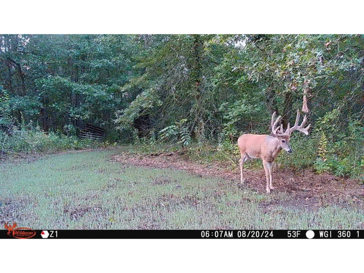 Wildgame Innovations ORBIT 360-degree Cellular Camera - 2 Pack Camo WGI-ORB360
