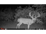 Wildgame Innovations ORBIT 360-degree Cellular Camera - 2 Pack Camo WGI-ORB360