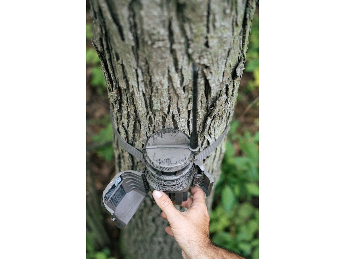 Wildgame Innovations ORBIT 360-degree Cellular Camera - 2 Pack Camo WGI-ORB360