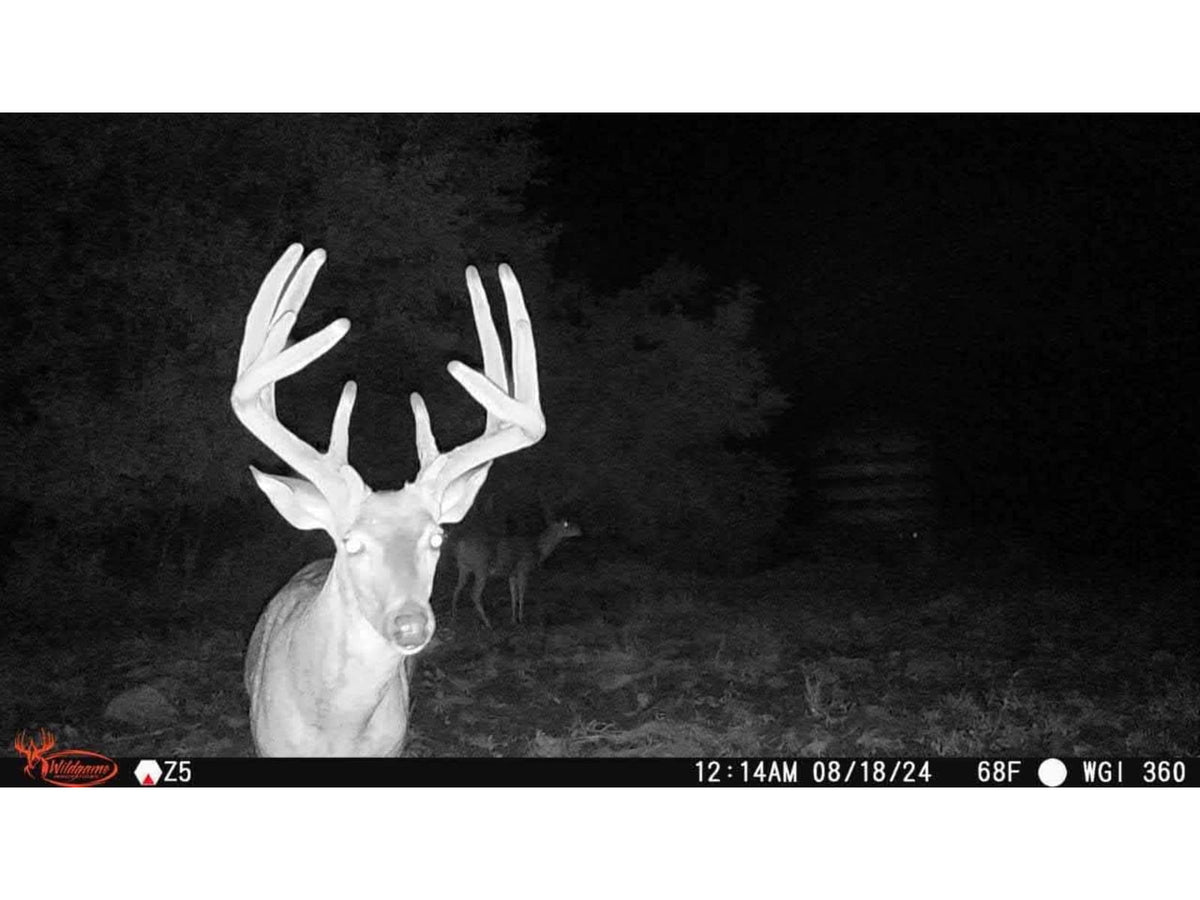Wildgame Innovations ORBIT 360-degree Cellular Camera - 2 Pack Camo WGI-ORB360