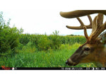 Wildgame Innovations ORBIT 360-degree Cellular Camera - 2 Pack Camo WGI-ORB360