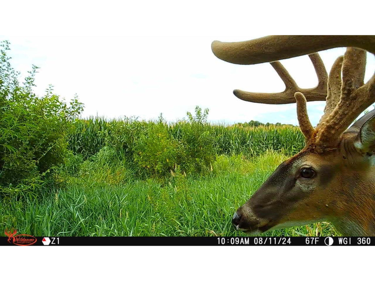 Wildgame Innovations ORBIT 360-degree Cellular Camera - 2 Pack Camo WGI-ORB360