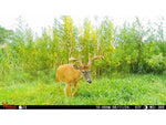 Wildgame Innovations ORBIT 360-degree Cellular Camera - 2 Pack Camo WGI-ORB360