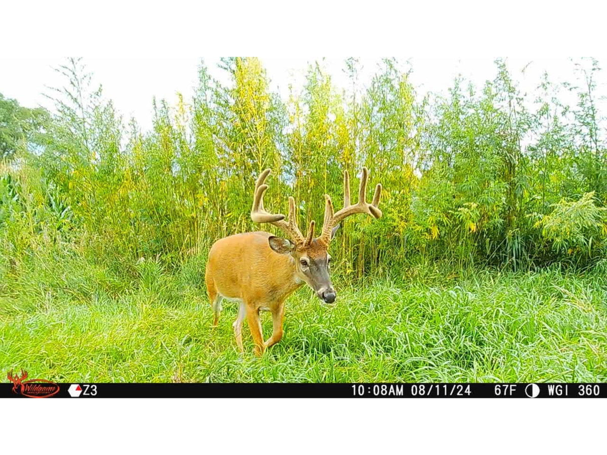 Wildgame Innovations ORBIT 360-degree Cellular Camera - 2 Pack Camo WGI-ORB360