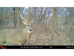 Wildgame Innovations TERRA XT 2.0 Cellular Camera Camo WGI-TERACC2