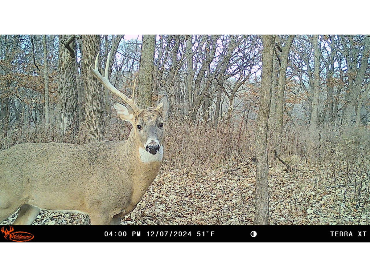 Wildgame Innovations TERRA XT 2.0 Cellular Camera Camo WGI-TERACC2