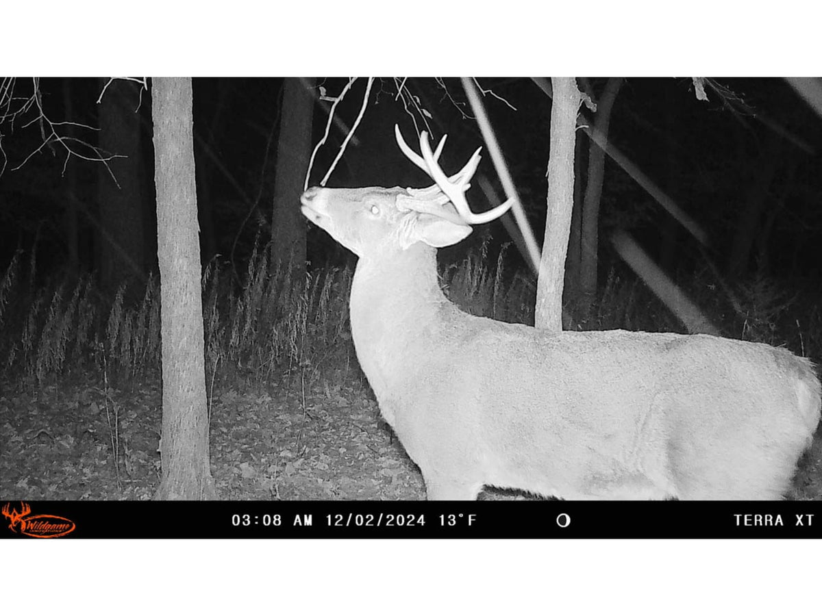 Wildgame Innovations TERRA XT 2.0 Cellular Camera Camo WGI-TERACC2